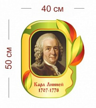 Стенд Карл Линней 40х50 см