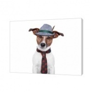 Картина на холсте Пес в шляпе с пером 100х80 см