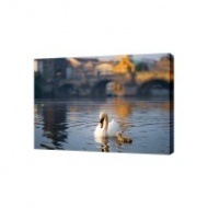 Картина на холсте Лебедь на озере, 50х70 см