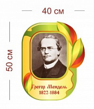 Стенд Грегор Мендель 40х50 см