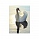 Картина на холсте Лебедь на воде, 30х40 см
