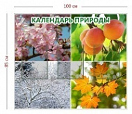 Стенд «Календарь природы» (3 кармана А4)