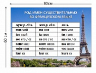 Стенд Род имен существительных во французском 80х60 см