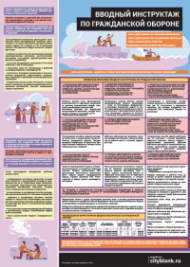 Плакат Вводный инструктаж по гражданской обороне, 1 лист
