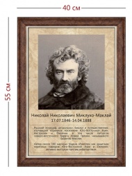 Стенд «Портрет Н. Н. Миклухо-Маклая» (1 плакат)