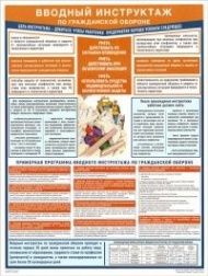 Плакат Вводный инструктаж по гражданской обороне, 1 лист 46х60 см