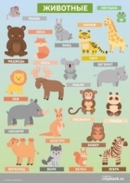 Плакат Животные, А2