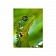 Картина на холсте Зеленая ящерица, 100х80 см