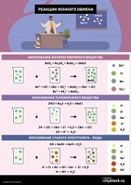 Плакат Реакции ионного обмена, А2
