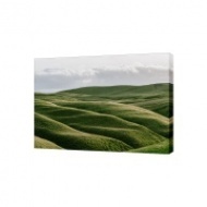 Картина на холсте Зеленые холмы, 50х70 см
