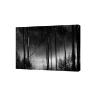 Картина на холсте Черный лес, 30х40 см