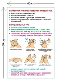 Стенд Обработка рук 60х40см (1 плакат)