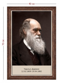 Стенд «Портрет Дарвина» (1 плакат)