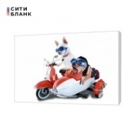 Картина на холсте Собаки на мотоцикле, 50х70 см