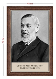 Стенд «Портрет Сеченова» (1 плакат)
