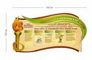 Стенд Античные олимпийские игры 190х100 см