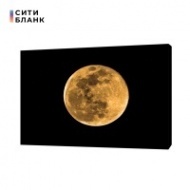 Картина на холсте Золотая луна 50х70 см