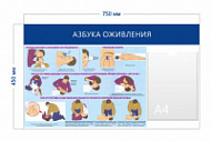 Стенд «Азбука оживления» (1 карман А4 + 1 плакат)