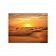 Картина на холсте Закат в пустыне, 30х40 см
