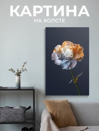 Картина Трехцветная гвоздичка, 60х100 см