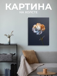Картина Волшебная гвоздика, 50х70 см