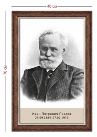 Стенд «Портрет Павлова» (1 плакат)