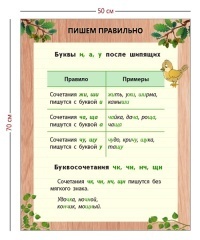 Стенд «Пишем правильно» (1 плакат)