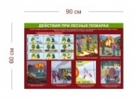 Стенд Как действовать при лесных пожарах 90х60 см
