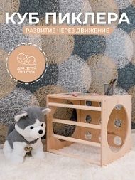 Куб Пиклера