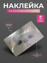 Наклейка на карту Кот